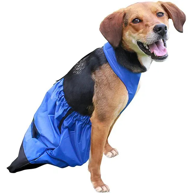 বার্ড পপি ডায়াপার ব্যাগ