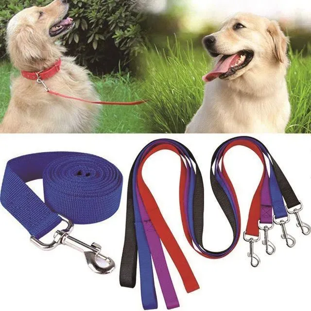 হুক দিয়ে কুকুর লেশ