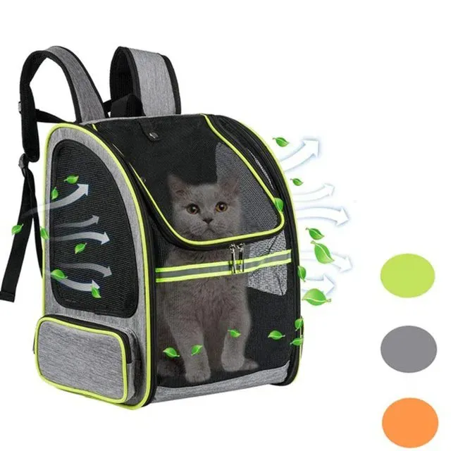 গিনি পিগ ক্যারিয়ার ব্যাগ