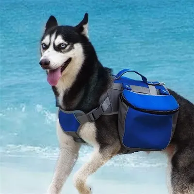 বিড়ালছানা কুকুর ক্যারিয়ার ব্যাগ